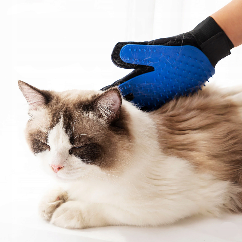 RĘKAWICA SZCZOTKA DO CZESANIA SIERŚCI PSA KOTA