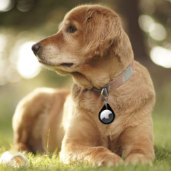 Brelok uchwyt na Apple AirTag TAG000001-B