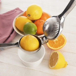 Wyciskacz do cytrusów  LUXY 22x7cm