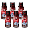 6x Syrop FruttaMax COLA 500ml