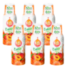 6x Syrop FruttaMax BRZOSKWINIA 500ml