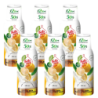 6x Syrop FruttaMax RADLER CYTRYNOWY Light 500 ml