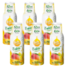 6x Syrop FruttaMax MANGO 500 ml