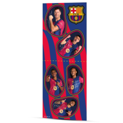 Butelka filtrująca DAFI SOLID z wkładem filtrującym FCB 0,5L WIELOKOLOR