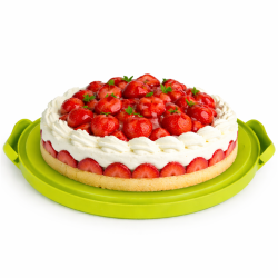 Pojemnik na ciasto QZ2025 zielony 30x26,5x15,3 cm WELLHAUS