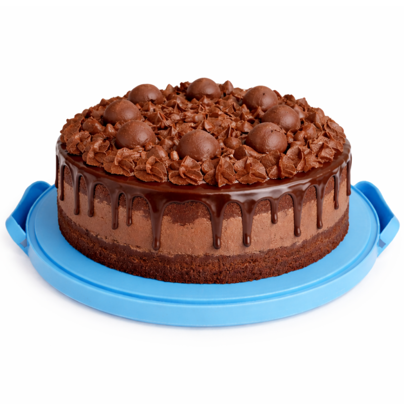 Pojemnik na ciasto QZ2025 niebieski 30x26,5x15,3 WELLHAUS